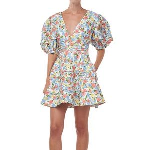 AMUR Avian Dress Size 4